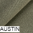 austin